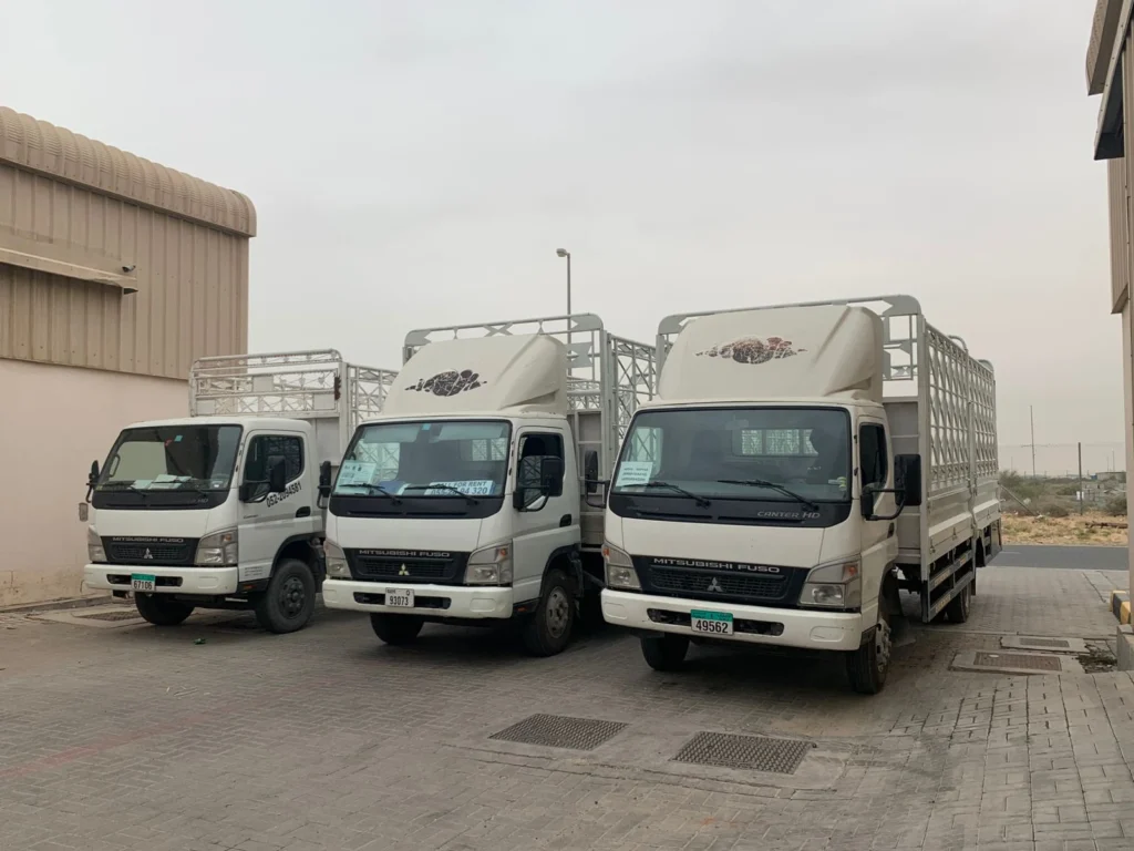 3 ton pickup for rent in sajaa