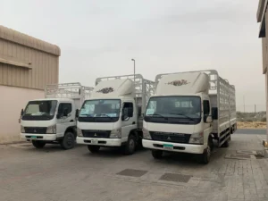 3 ton pickup for rent in sajaa